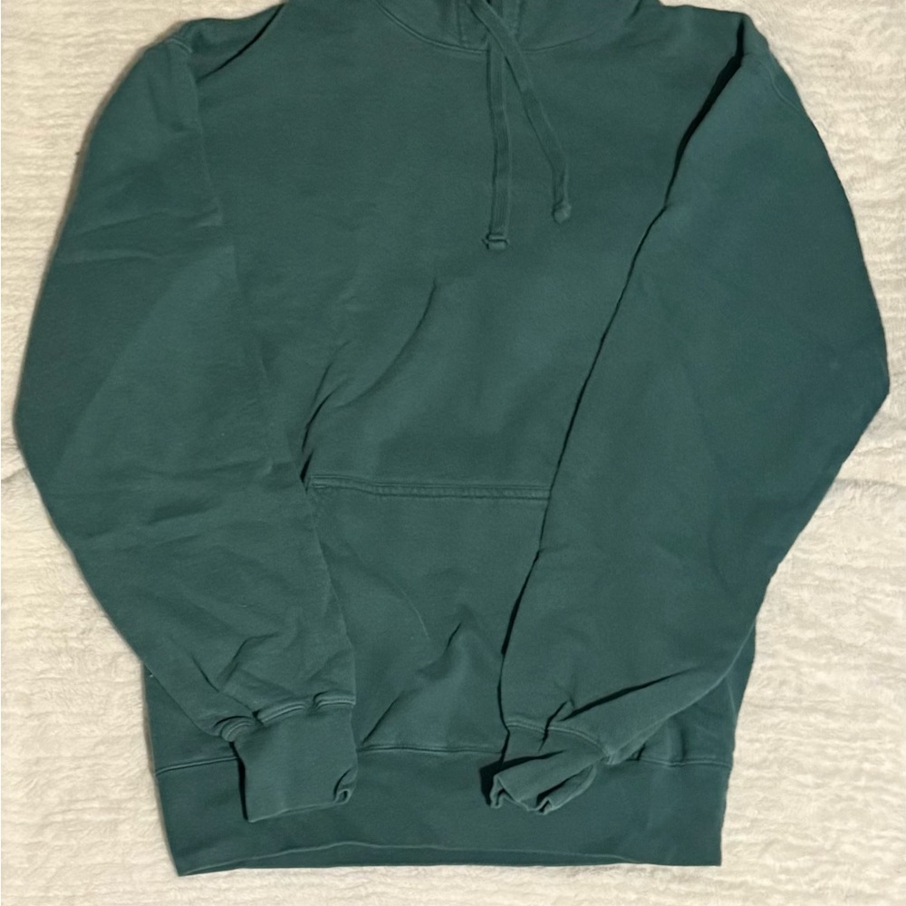 Champion Men's Teal Hoodie